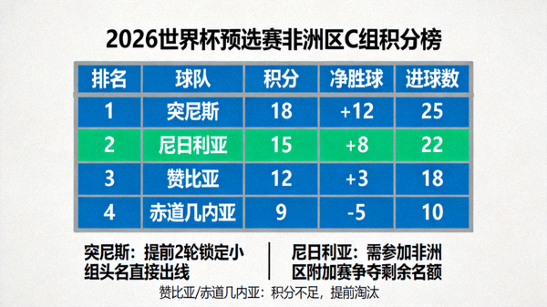 2026世界杯预选赛非洲区C组积分榜详细排名，展示各队积分、净胜球、进球数与出线形势分析
